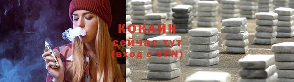 прущие грибы Новодвинск
