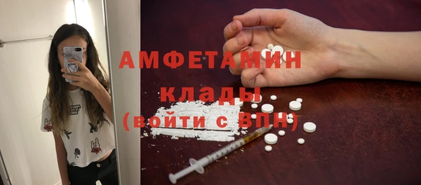 прущие грибы Новодвинск