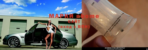 прущие грибы Новодвинск