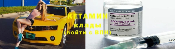 прущие грибы Новодвинск