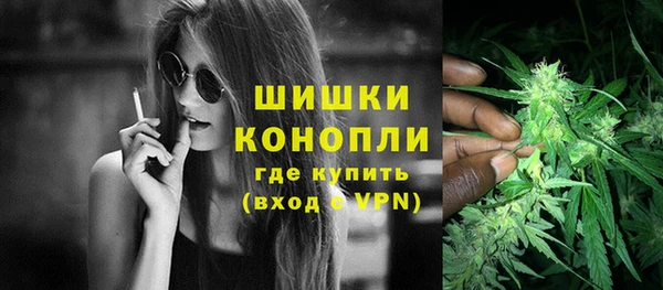прущие грибы Новодвинск