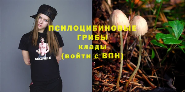 трава Осинники