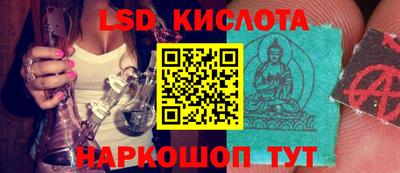МДПВ Донецк