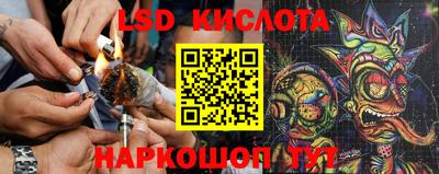 хмурый Донской