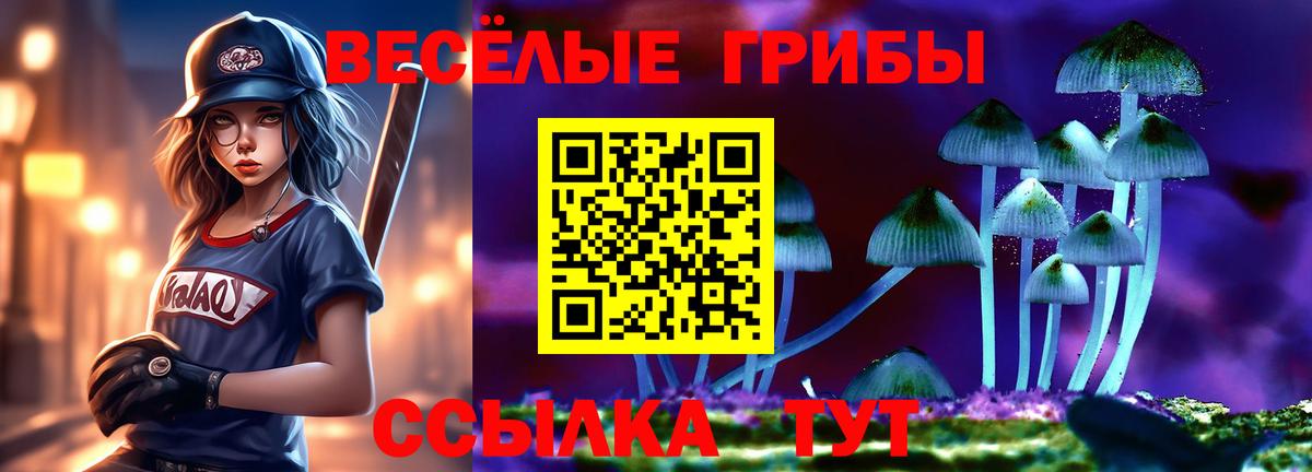 купить   Вход с VPN  Когалым  Псилоцибиновые грибы мухоморы 